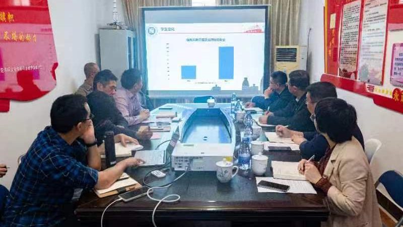 MG动画角色设计软件：揭秘设计与技术的完美融合**