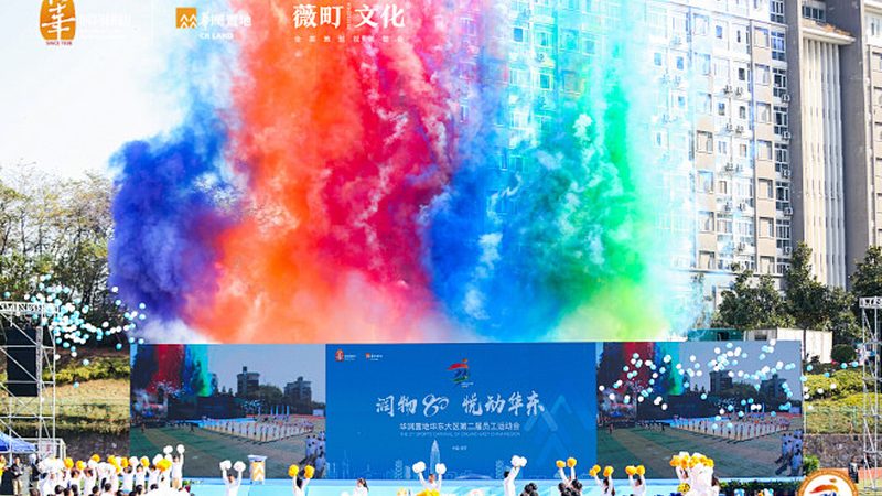 VI设计代理加盟：揭秘品牌加盟背后的逻辑与选择要点